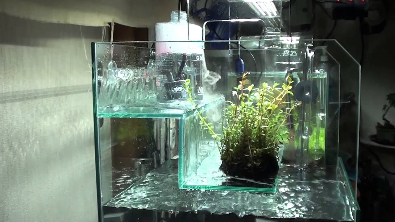 ADA ウォーターフォール30 ADA ウォーターフォール30 T*様 Do!aqua ADA