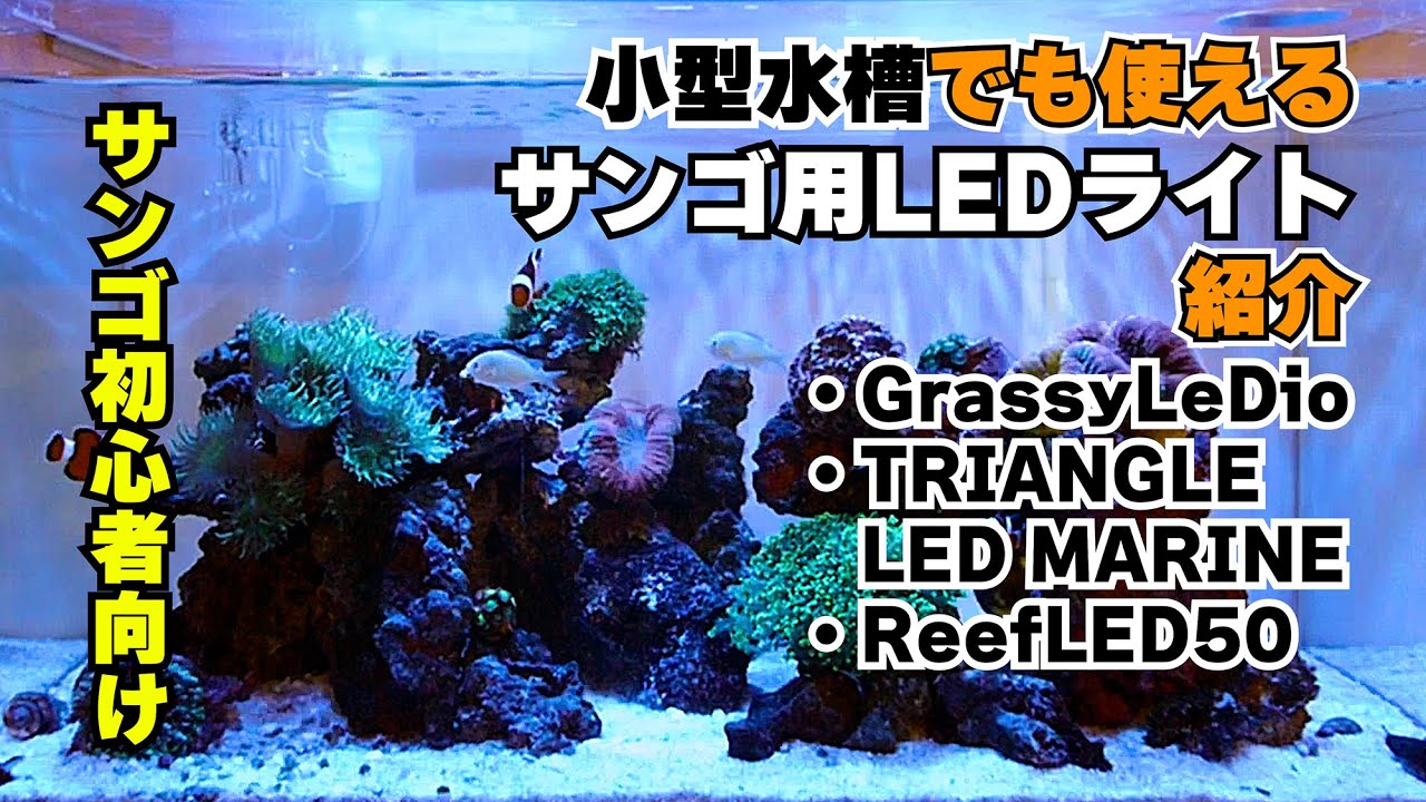 サンゴ水槽】小型水槽でも使えるサンゴ水槽用LEDライト紹介 - YouTube