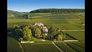 Château Corton Grancey - Maison Louis Latour