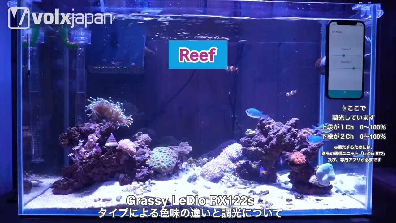 Grassy LeDio RX122s Reef / Coral /Deep 色味の違いと調光 - YouTube