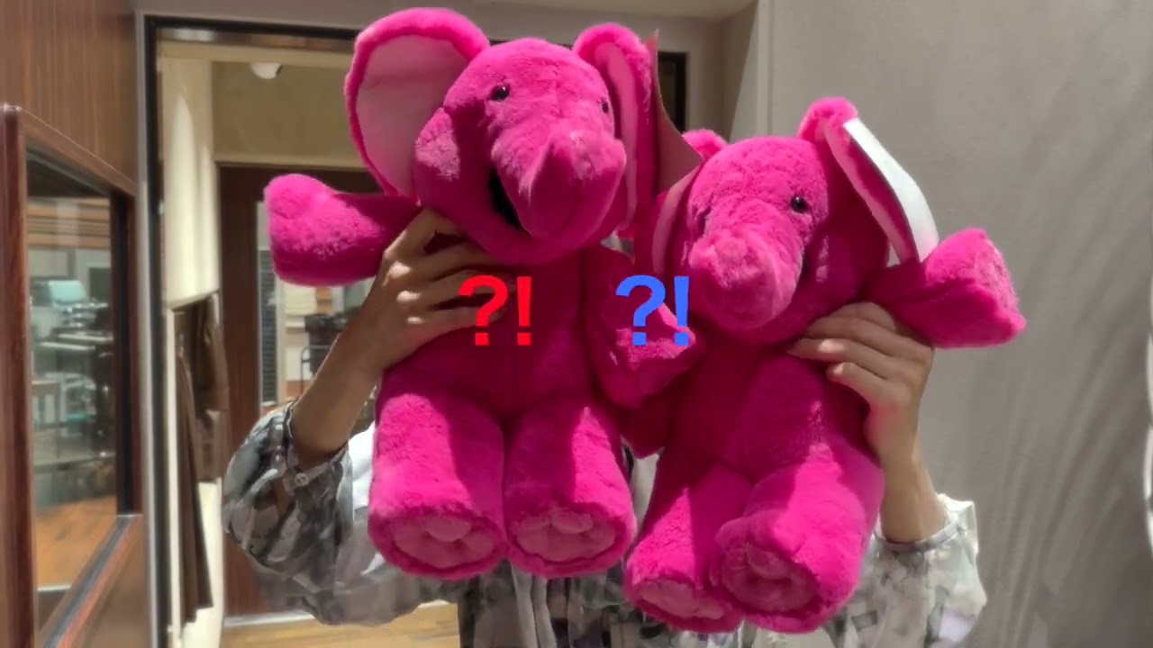 ぞうさんのぬいぐるみ/Cocco 25th Anniversary Goods」COCCO CHANNEL