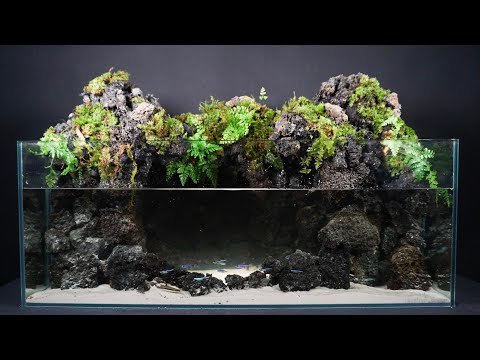 砂の滝の流れるアクアテラリウム アクアリウム No.1137 砂の滝の流れる