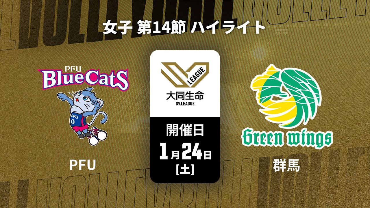 群馬グリーンウイングス | チーム紹介 | 大同生命SVリーグ女子 2025-26