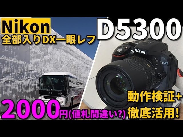 Was this a mispricing on a junk camera? Testing the functionality