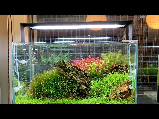 ADA アクアスカイ602 LED