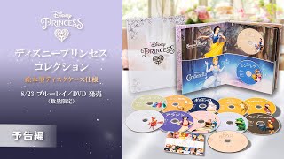 ディズニープリンセス コレクション 絵本型ディスクケース仕様」 8/23