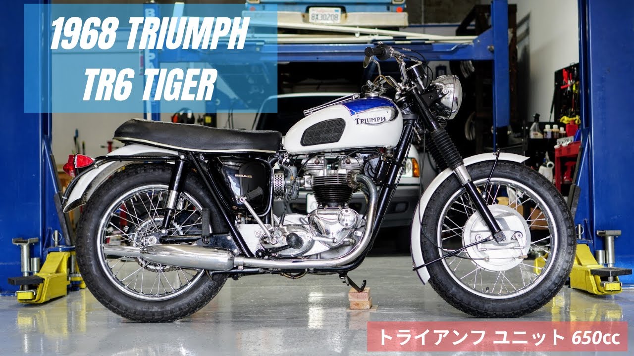 TRIUMPH TR・TR 2to 6・トライアンフ 今はなき英国コーチビルダー
