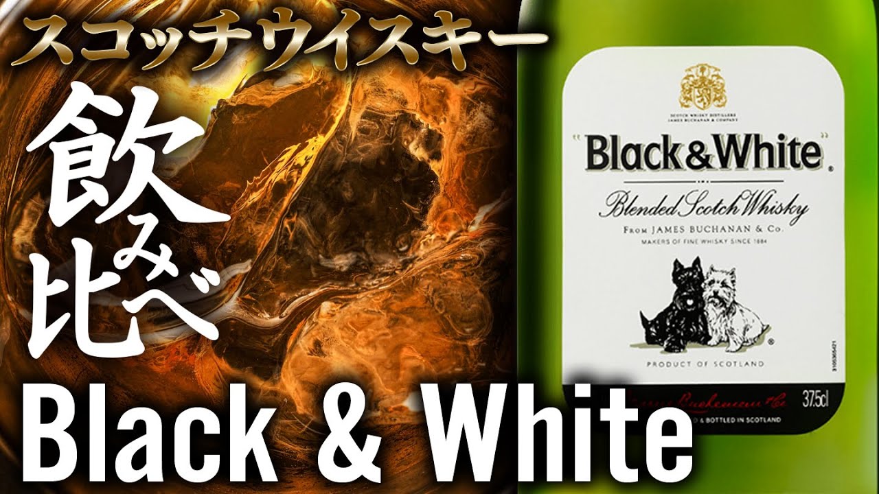 今夜は宅飲み】スコッチウィスキー編 #106[Black & White/日本酒類販売