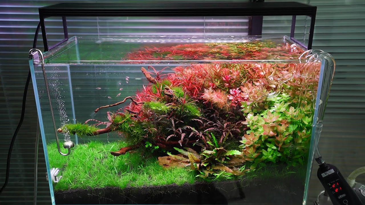 Chihiros WRGB120 Series 2 LED Black 120-140cm - Chihiros