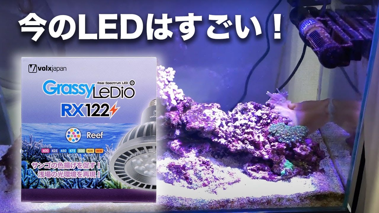 GrassyCore Reef LED水槽照明GrassyCore Reef スマートLED水槽照明
