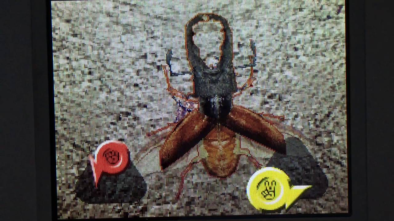 ムシキング2002 ロケテストカード メンガタクワガタ ムシキング2002