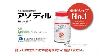 アゾディル動画｜犬猫の腎臓の健康をサポート｜Azodyl