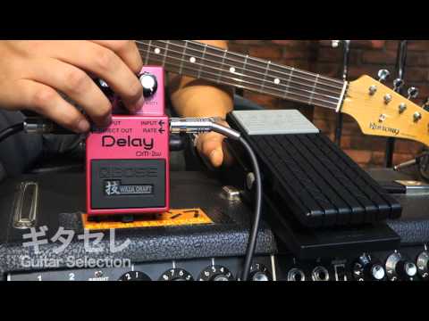 BOSS 技 WAZA CRAFT DM-2Wを発振させペダルでコントロールしてみた
