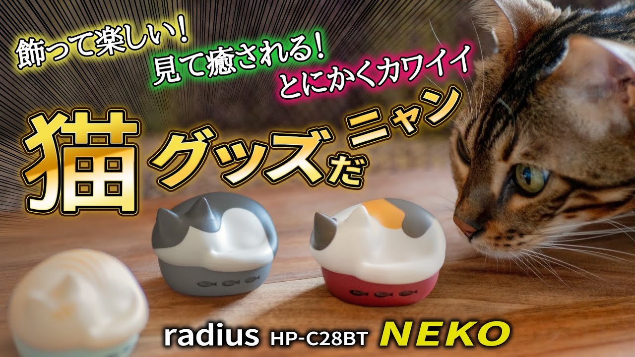 飾って楽しい！見て癒される！とにかくカワイイ猫グッズだニャン