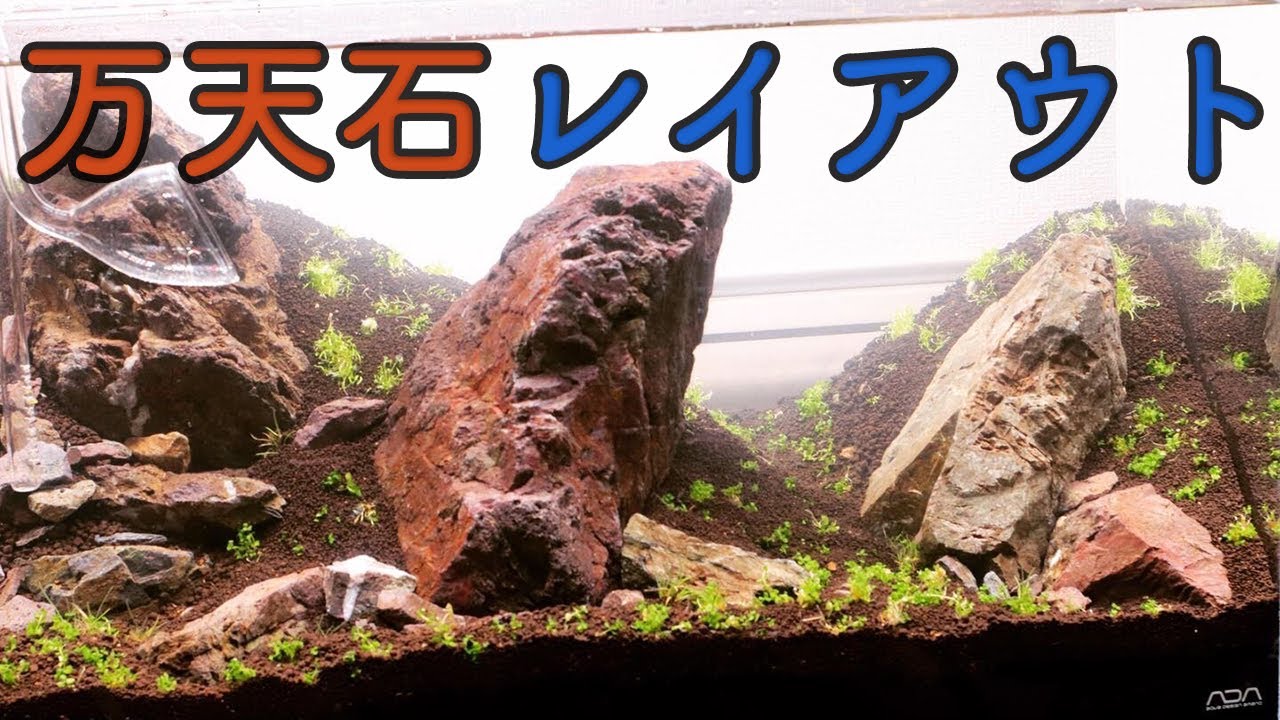 迫力満点！万天石レイアウト【アクアリウム】 - YouTube