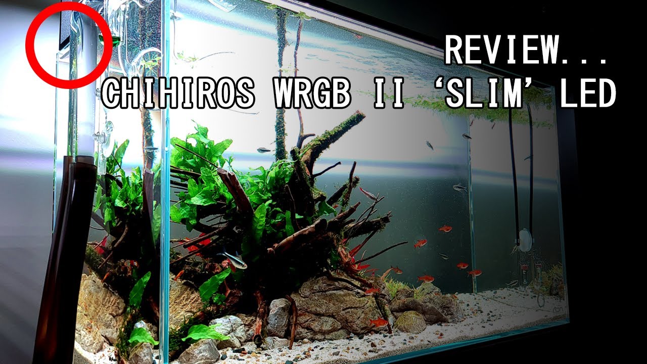 YOU'RE NOT GOING TO BELIEVE THIS: Chihiros WRGB II SLIM 60cm