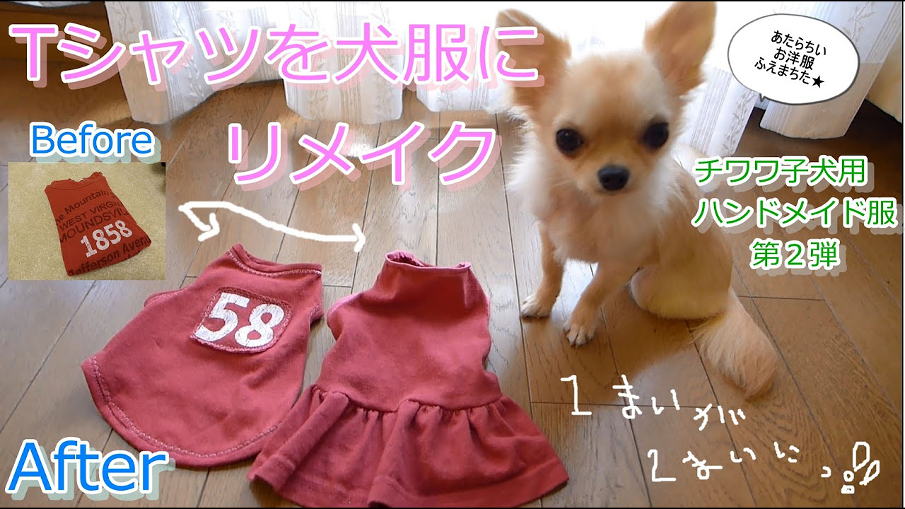 Tシャツを犬服にリメイク☆チワワ子犬ハンドメイド服~DIY☆T shirt