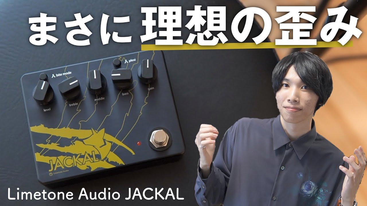 ジャンク品 JACKAL ギターエフェクター （説明欄必読） LimeTone Audio