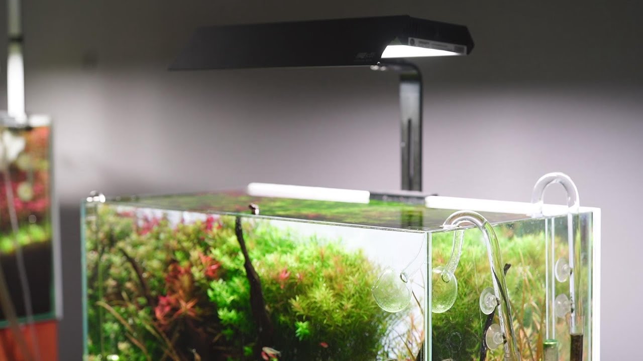 Chihiros RGB VIVID II Mini LED Light - Chihiros Aquatic Studio