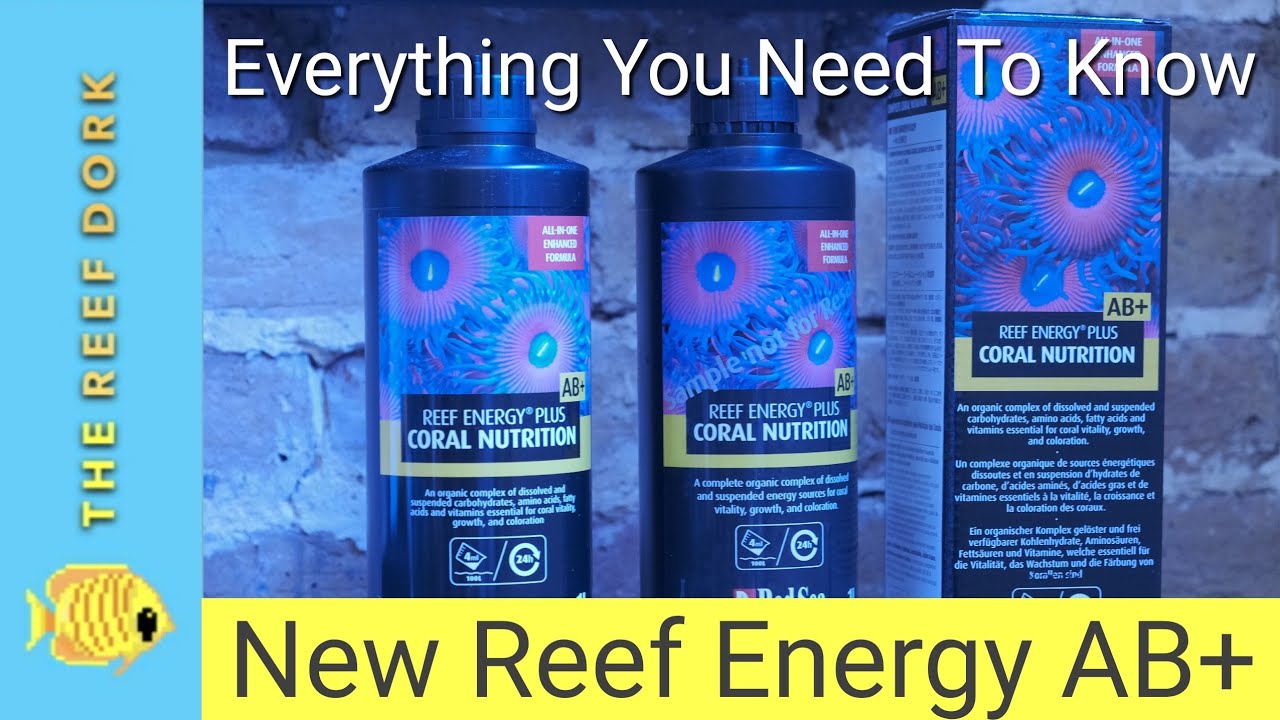 The NEW Red Sea Reef Energy AB+ First Impressions - YouTube