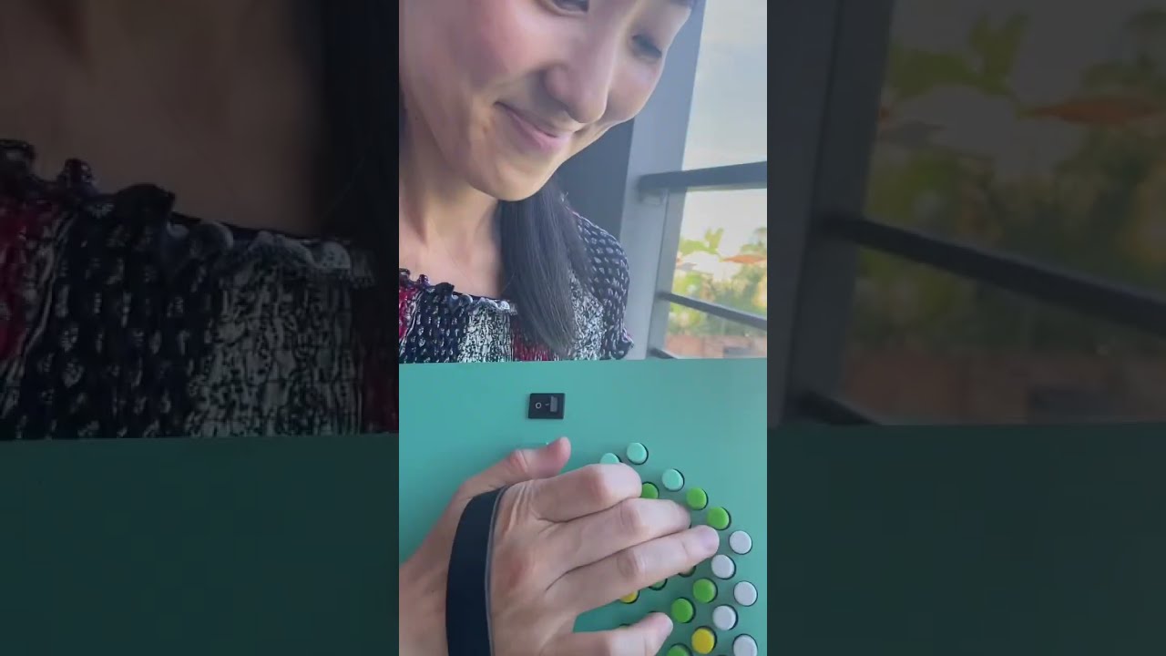 電子バンドネオン BANDOLICA AT-1 Troilo 左右 バンドリカ 電子バンド