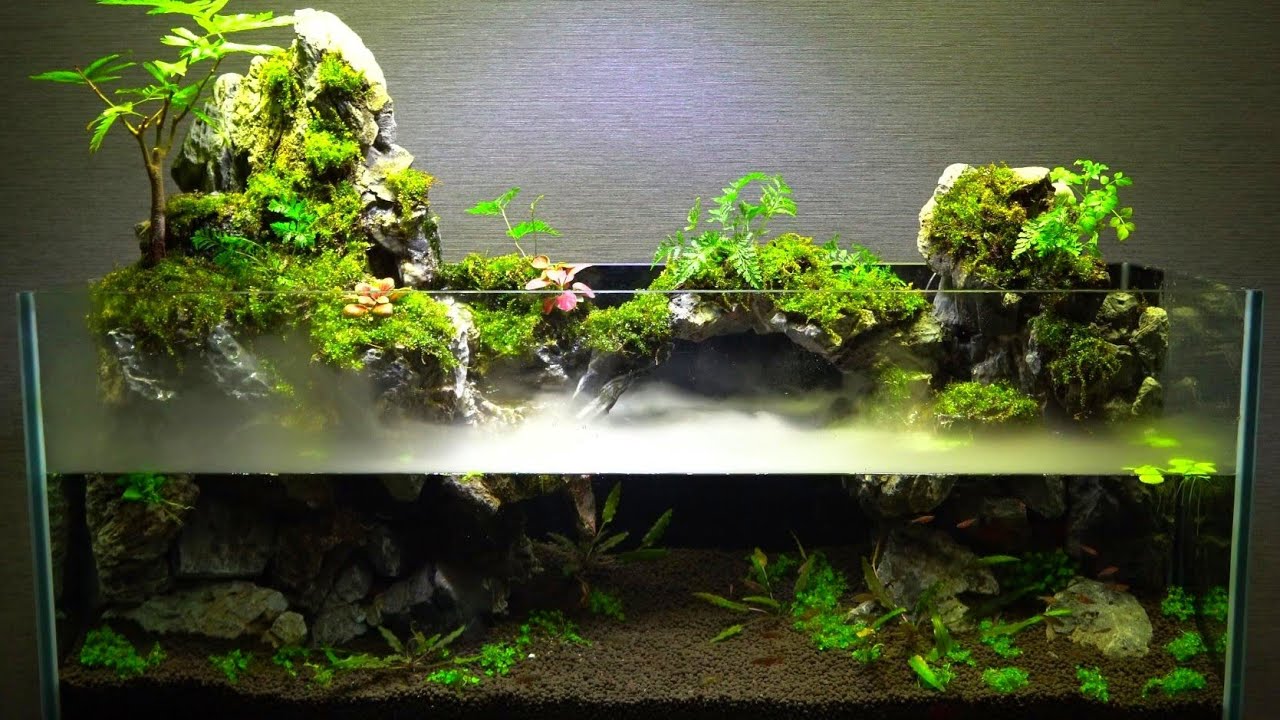 完成品】滝の流れるアクアテラリウム イモリウム 苔 水槽 苔アート 滝