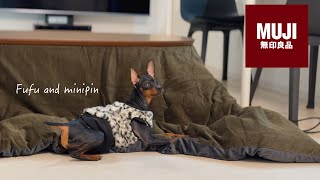 無印良品】こたつ始めました。Daily Life,autumn,Vlog - YouTube