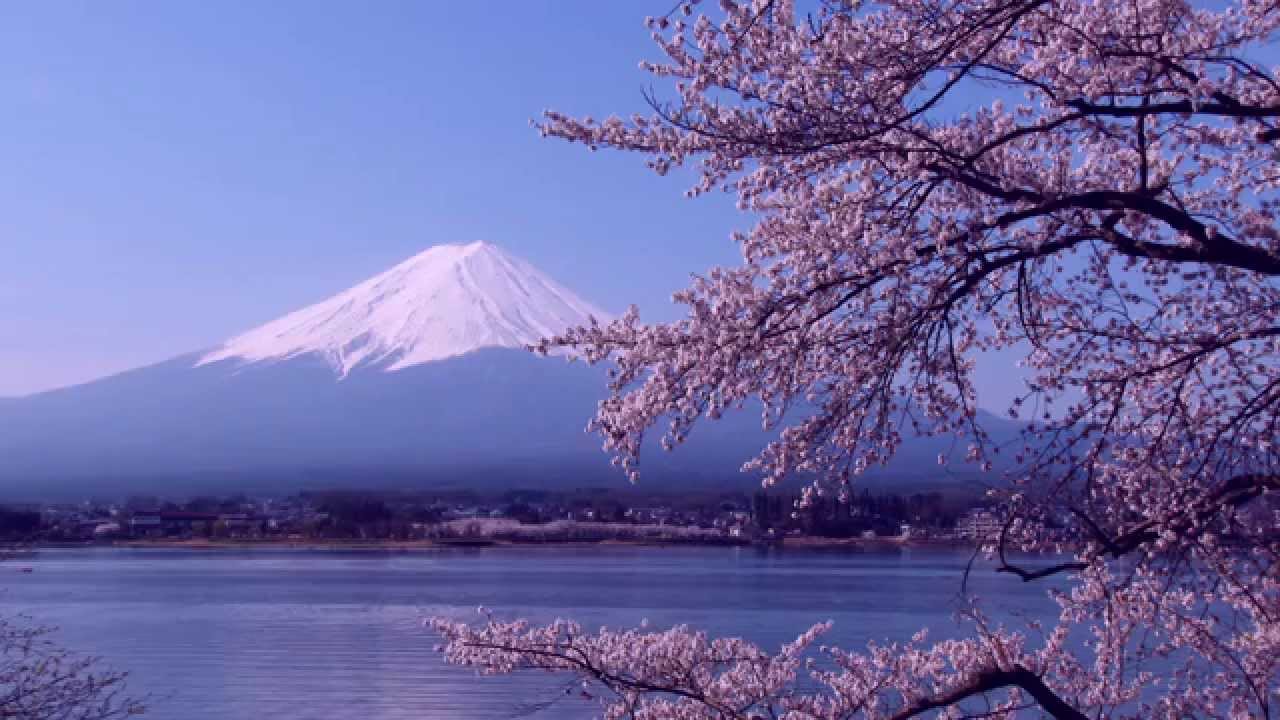 桜と富士山の写真 額入り 【公式通販】