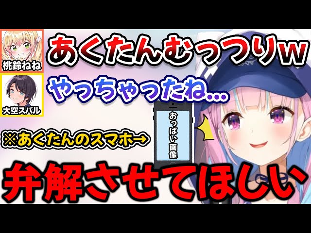 スバルとねねちにうっかり見せたお◯ぱい画像は誤解だったと弁解したい