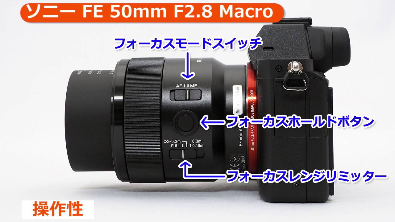 ソニー FE 50mm F2.8 Macro [SEL50M28]｜交換レンズ｜カメラのキタムラ
