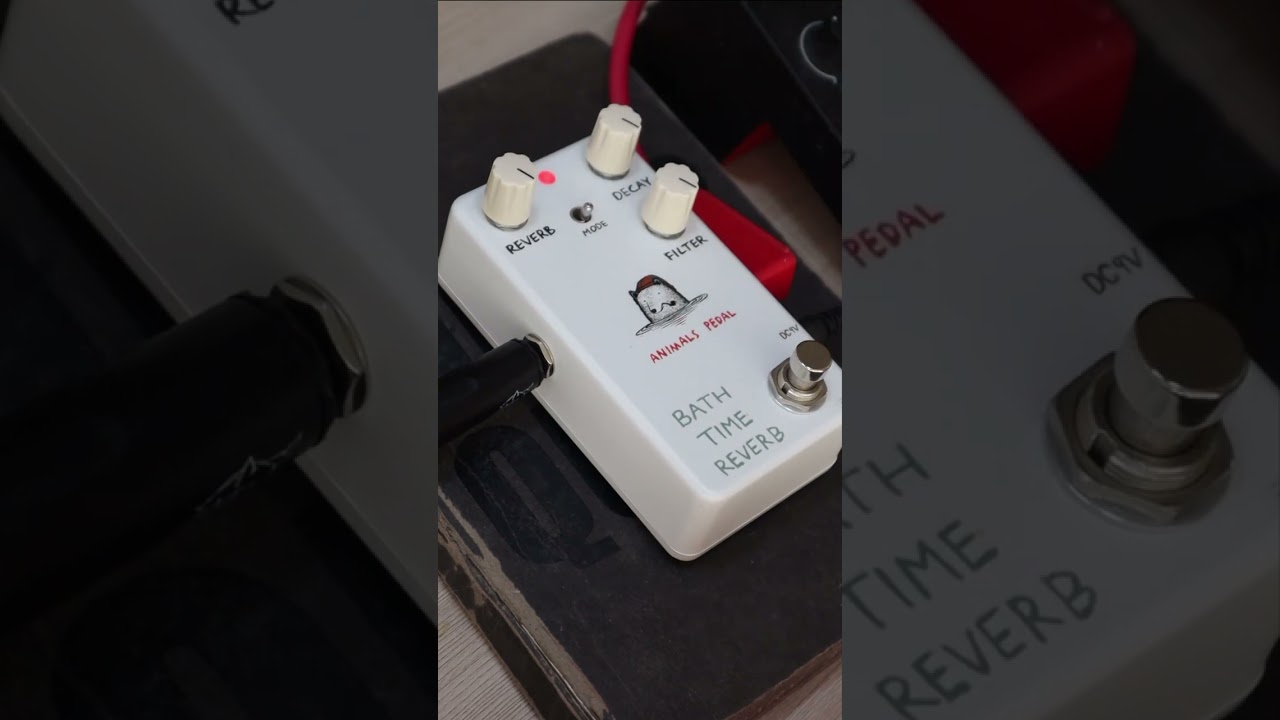 Bath Time Reverb-Animal Pedals-Reverb Pedals #telecasterfender