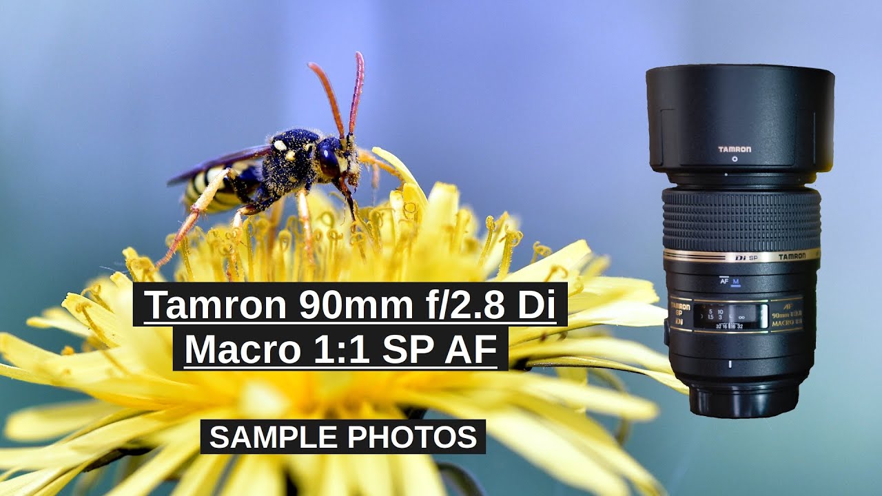 Tamron 90mm f/2.8 Di Macro 1:1 SP AF - SAMPLE PHOTOS - YouTube