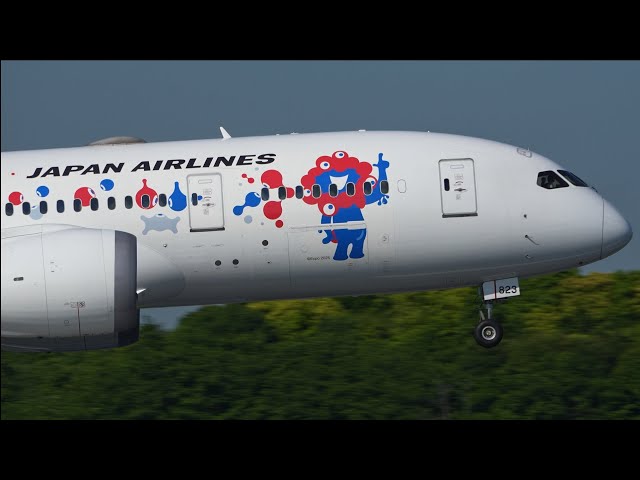 Boeing 787-8 JAL JA823J ミャクミャクジェット1:400 Boeing 787-8 JAL