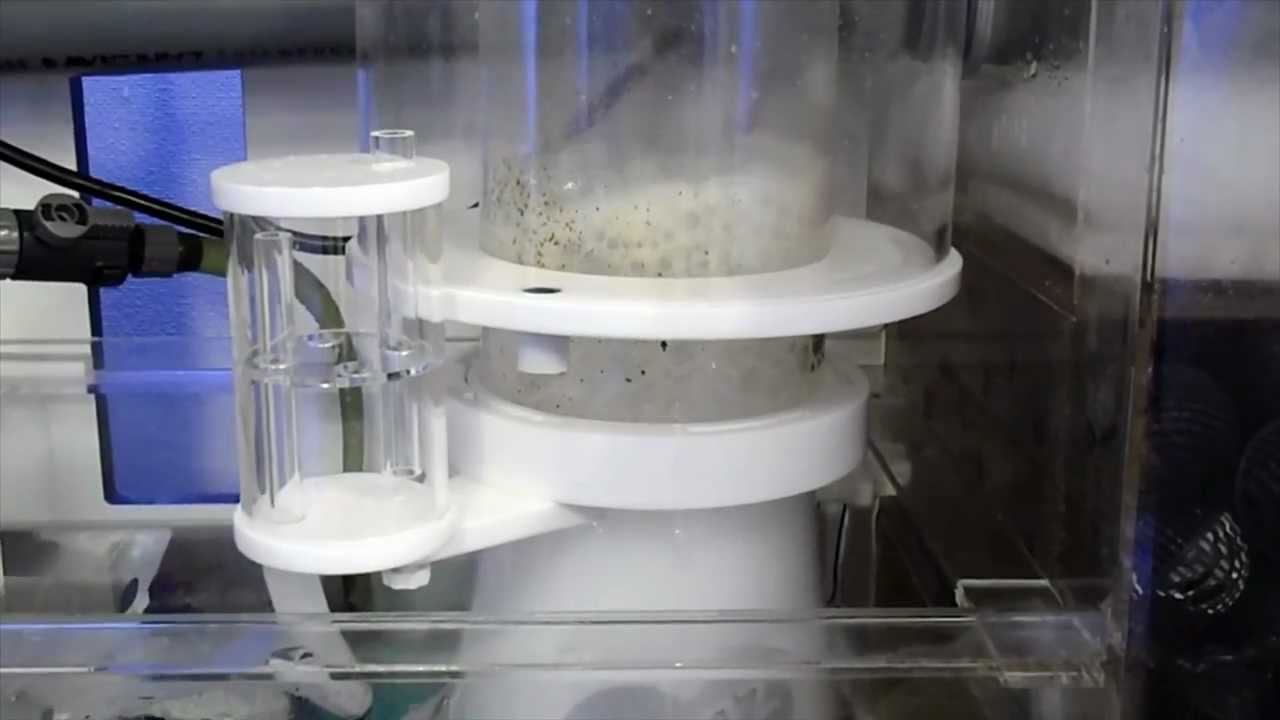 Aquarium goods] SKIMZ LEOPARD SL203 / スキムズ レオパード SL203