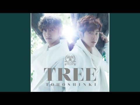 ☆激レア☆東方神起 韓国FC Cassiopeia ～O～正反合応援タペストリー