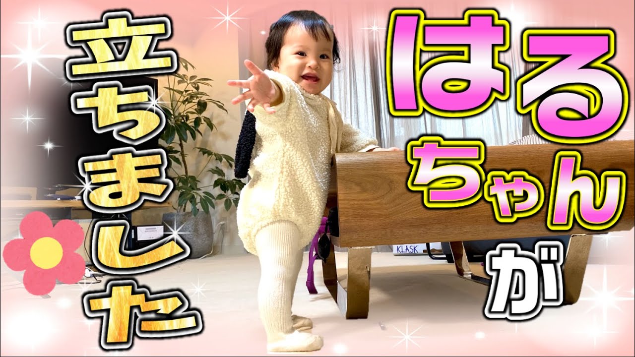 Congratulations] Haru-chan can now stand - YouTube