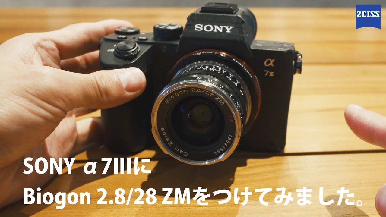 Biogon 2.8/28 ZM / Voigtländer VM-E Close Focus Adapter/ SONY