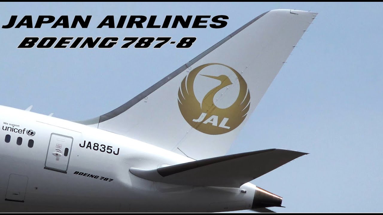 金の鶴丸 JAL Boeing 787-8 Golden Tsurumaru Livery JA835J Takeoff
