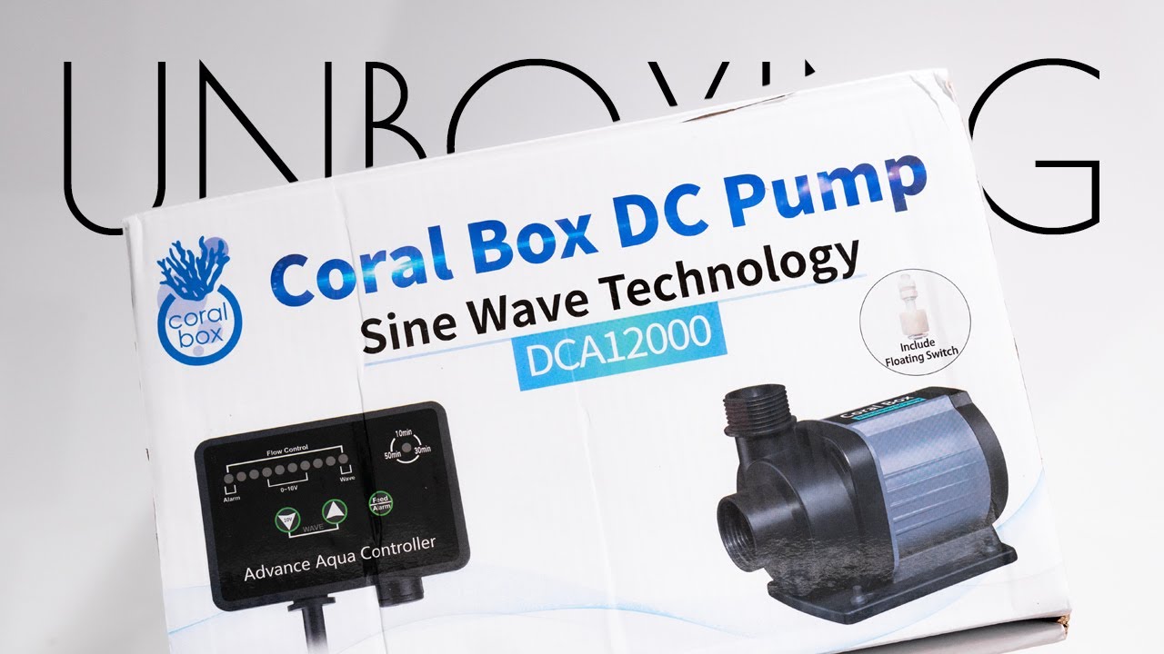 Jebao DCS4000 Needle Wheel PinWheel Pump