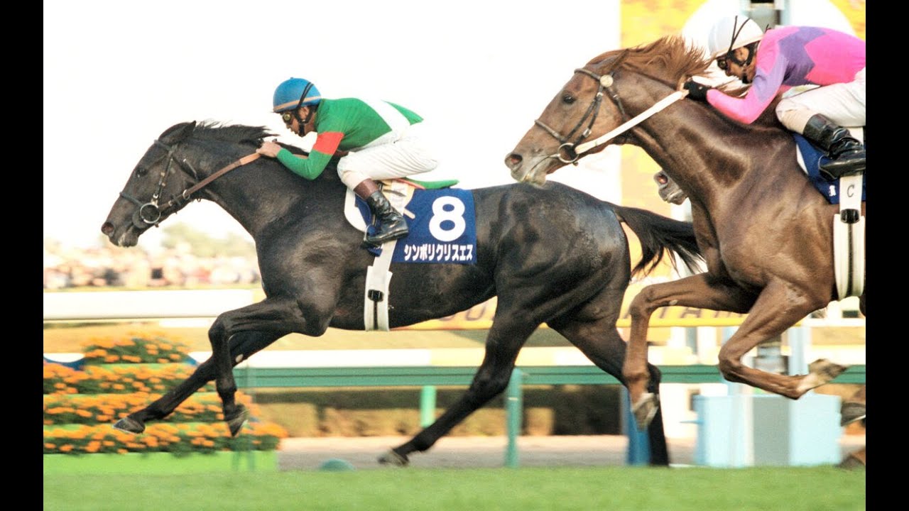 JRAヒーロー列伝 JRA ヒーロー列伝No.55 シンボリクリスエス B3