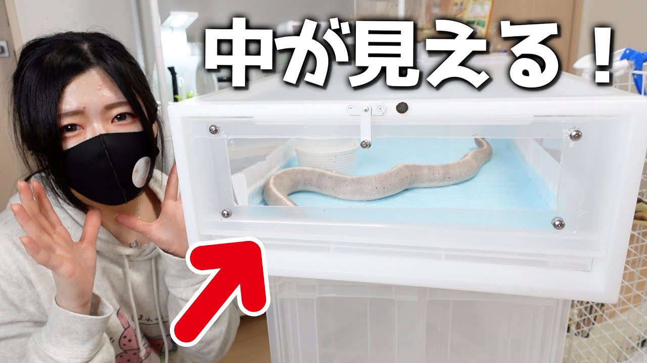 Make a reptile cage using MUJI products! | Ball Python - YouTube