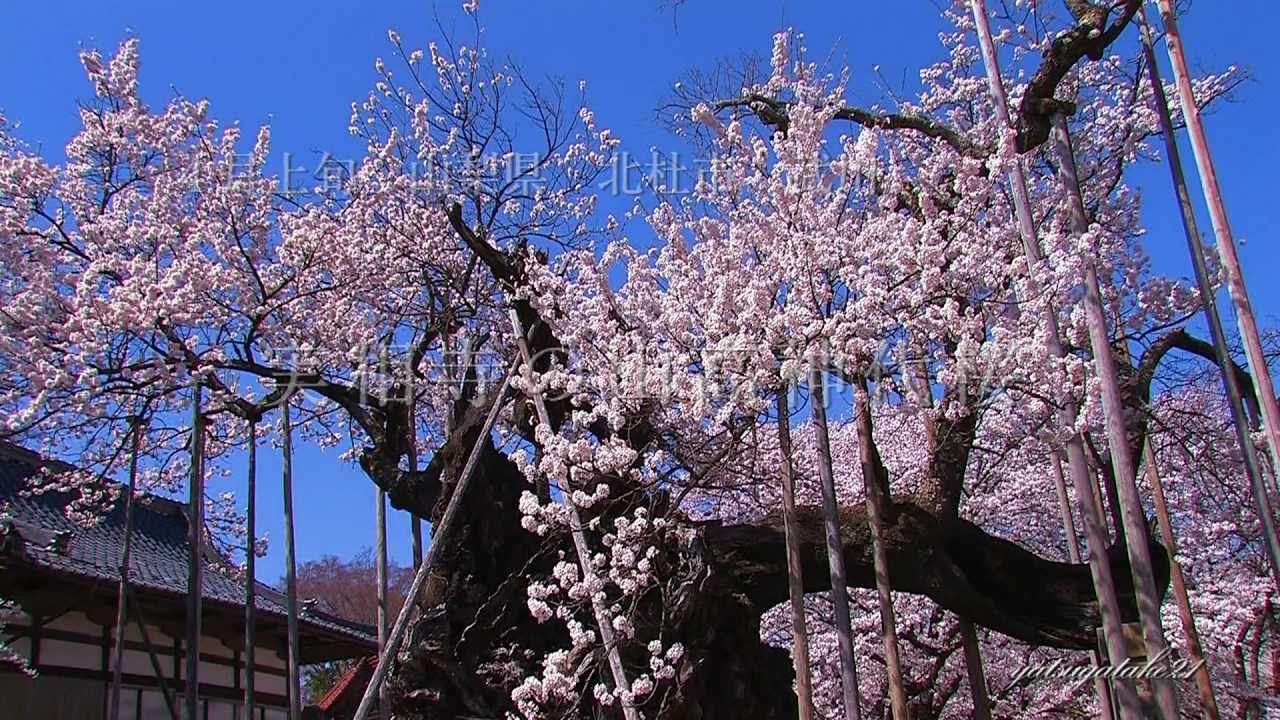 立体アート3点 額縁1点 虎 山の風景 桜風景 cc746 立体アート3点