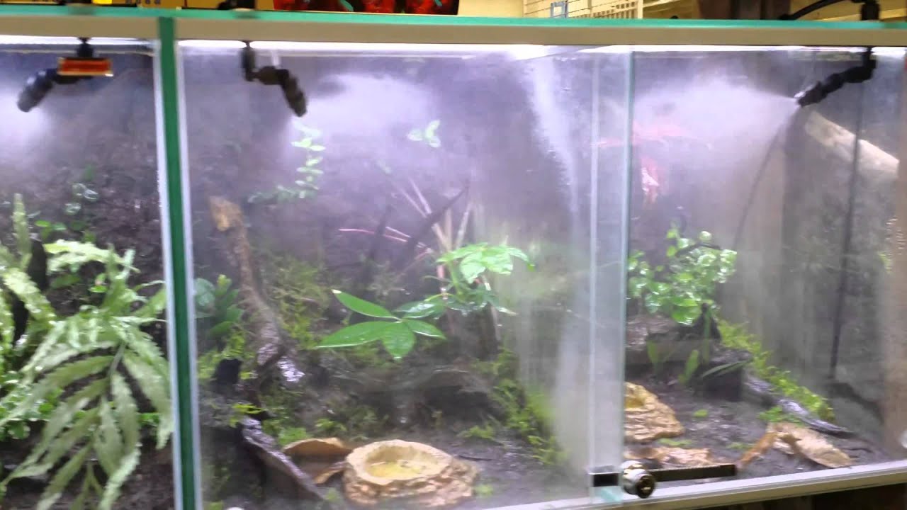 maxresdefault.jpg?sqp=-