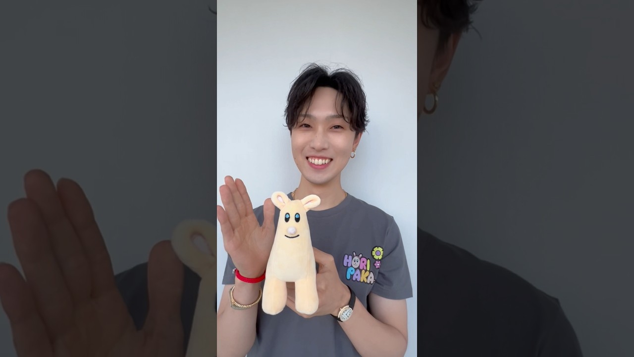 立体ホリパカぬいぐるみ | ホリナツのカンムリ（仮）グッズストア