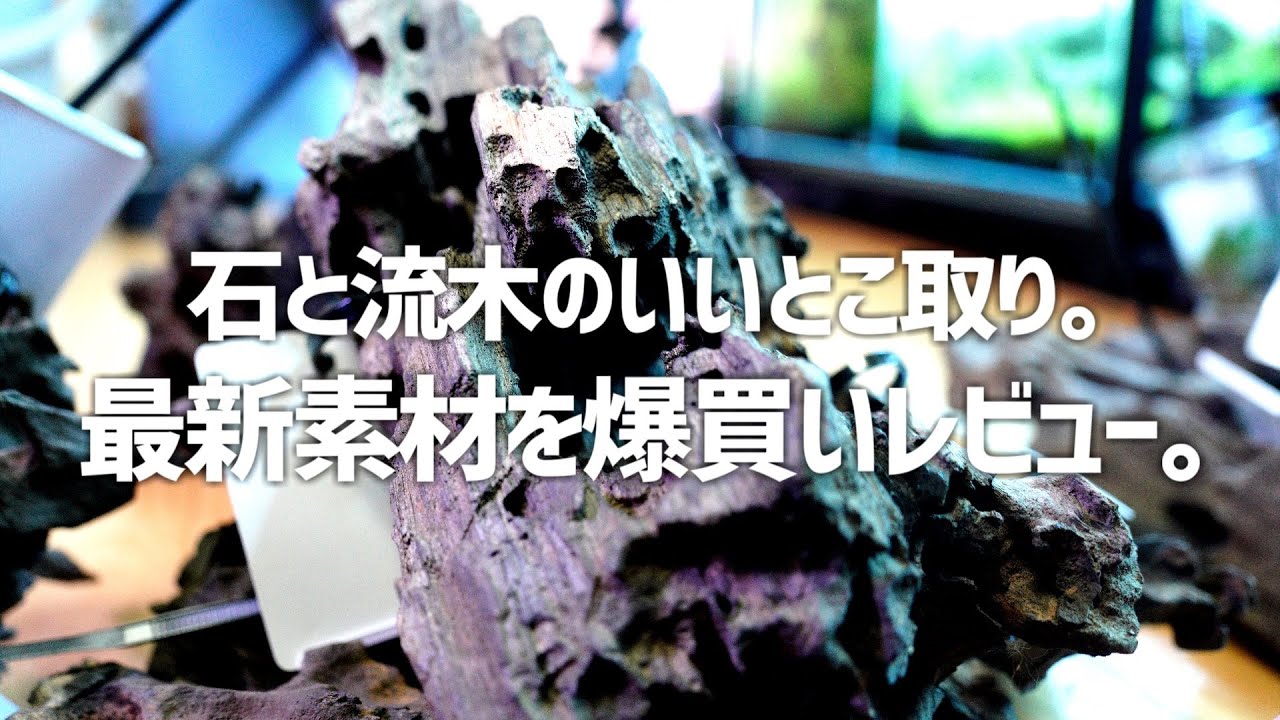 マツヨシワールド】熟練職人手作り流木アクアスケープ 渓谷と浮遊雲群