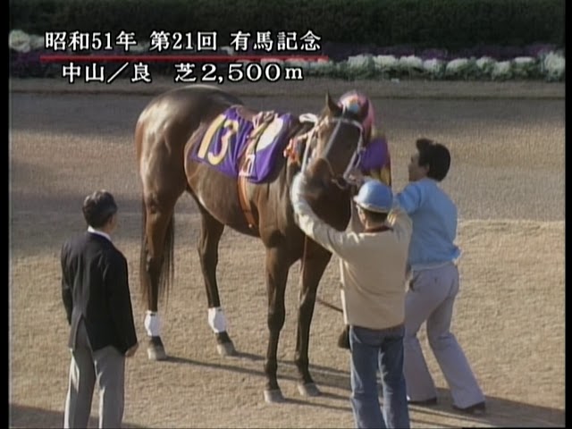 競馬 勝負服 トウショウボーイ トウショウボーイ (Tosho Boy) | 競走馬