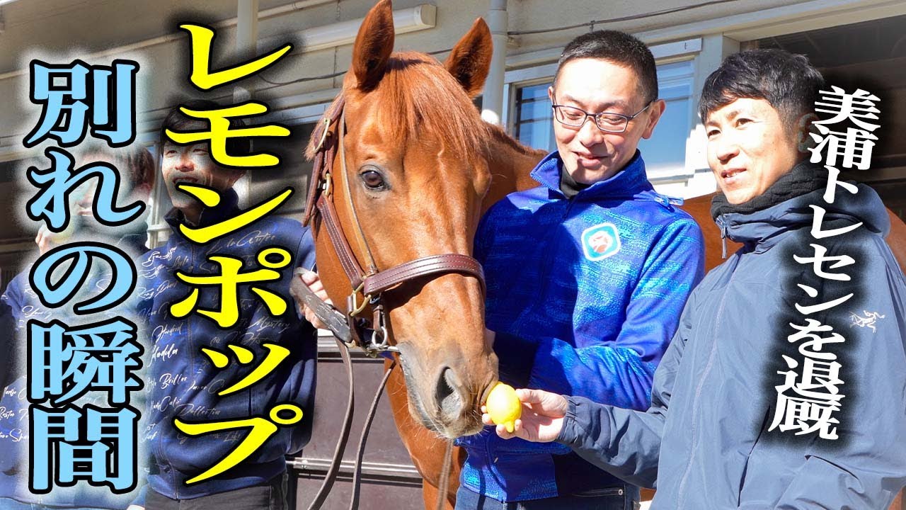 引退】レモンポップ、別れの瞬間 美浦トレセンを退厩《東スポ競馬