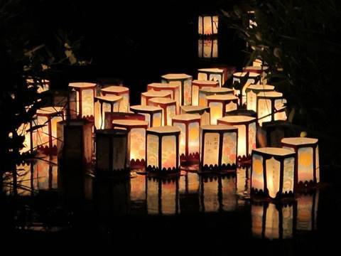 洗足池灯ろう流し Lantern Floating Tokyo 東京観光 ディスカバー