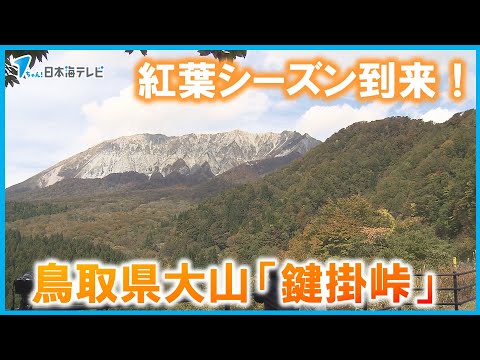 こころの風景コレクション【谷田穎郎 大山の紅葉（鍵掛峠）】60％お