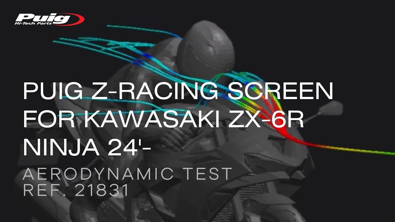 ZX-6R 24～ Z-レーシングスクリーン スモーク プーチ | バイクカスタム